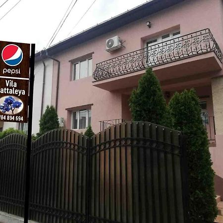 Casa Cattleya 호텔 Târgu Jiu 외부 사진