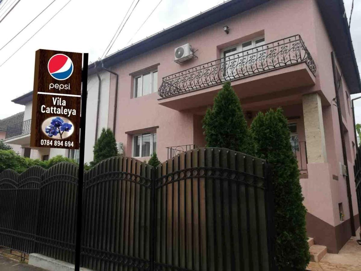 Casa Cattleya 호텔 Târgu Jiu 외부 사진